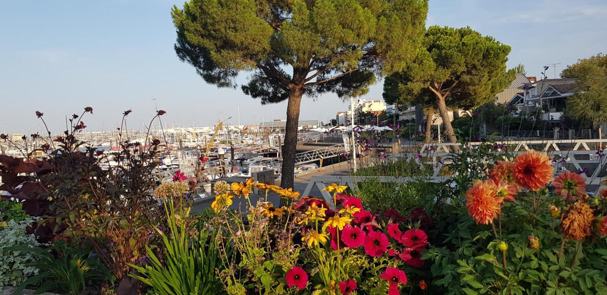 Petit Port - T3 Vue Bassin Appartement *